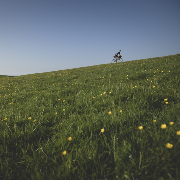 Half-Day Surrey Hills & South Downs National Park MTB Rides gallery 2