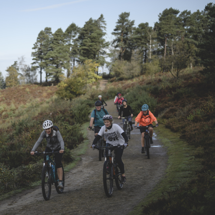 Weekly Group MTB Rides – Surrey Hills, photo 4