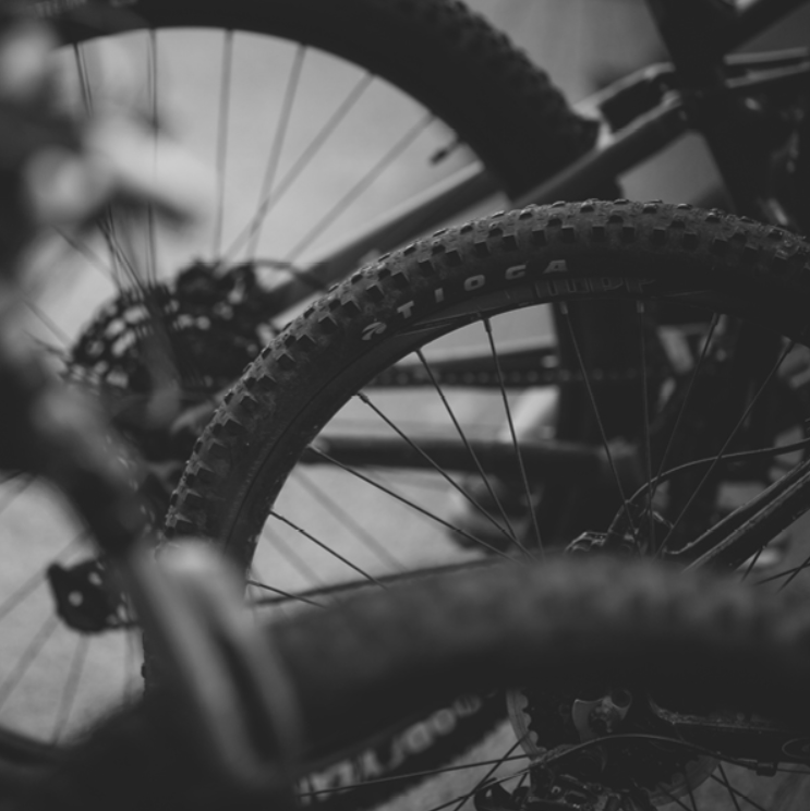 Discover Mountain Biking Session – Surrey Hills gallery 7