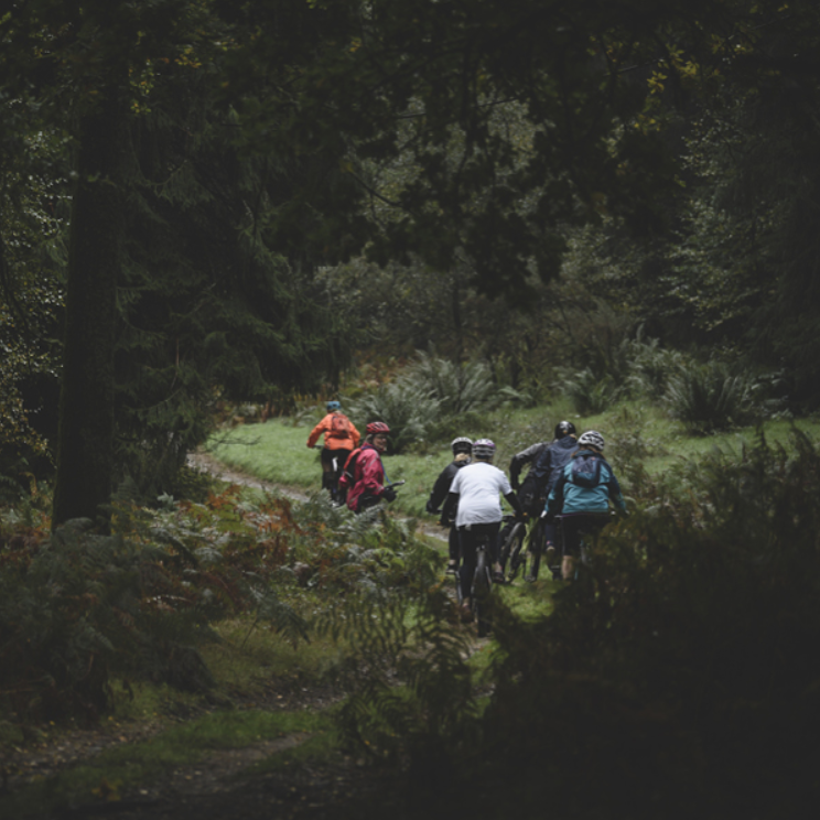 Weekly Group MTB Rides – Surrey Hills gallery 6