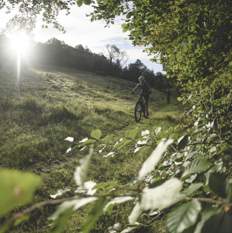 Discover Mountain Biking Session – Surrey Hills gallery 10