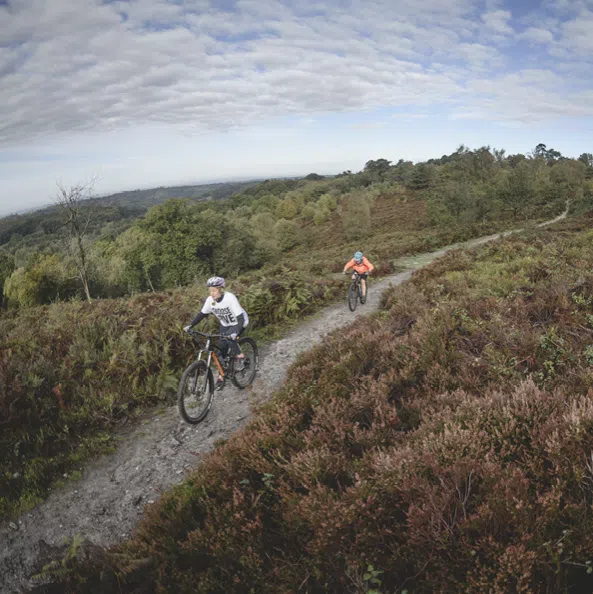 1-2-1 MTB Coaching – Surrey Hills, photo 5