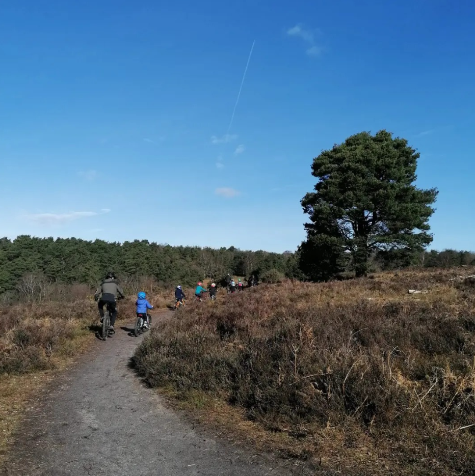 Guided Group Half & Day MTB Rides – Surrey Hills, photo 4