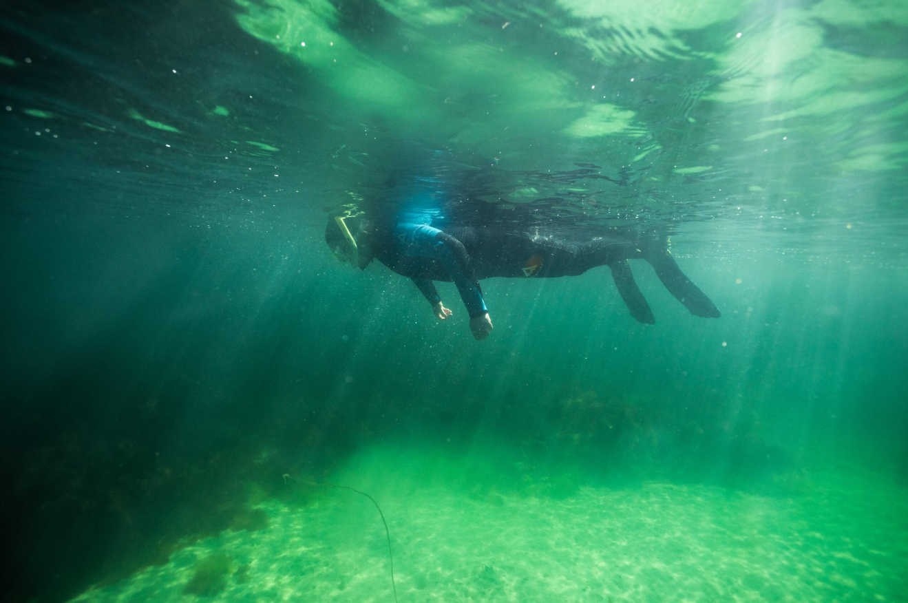 Open Group Snorkelling Session – Fort William, Scotland, photo 5