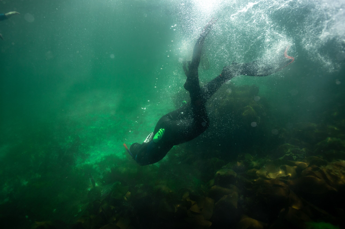 Private Snorkelling Session – Fort William, Scotland gallery 2