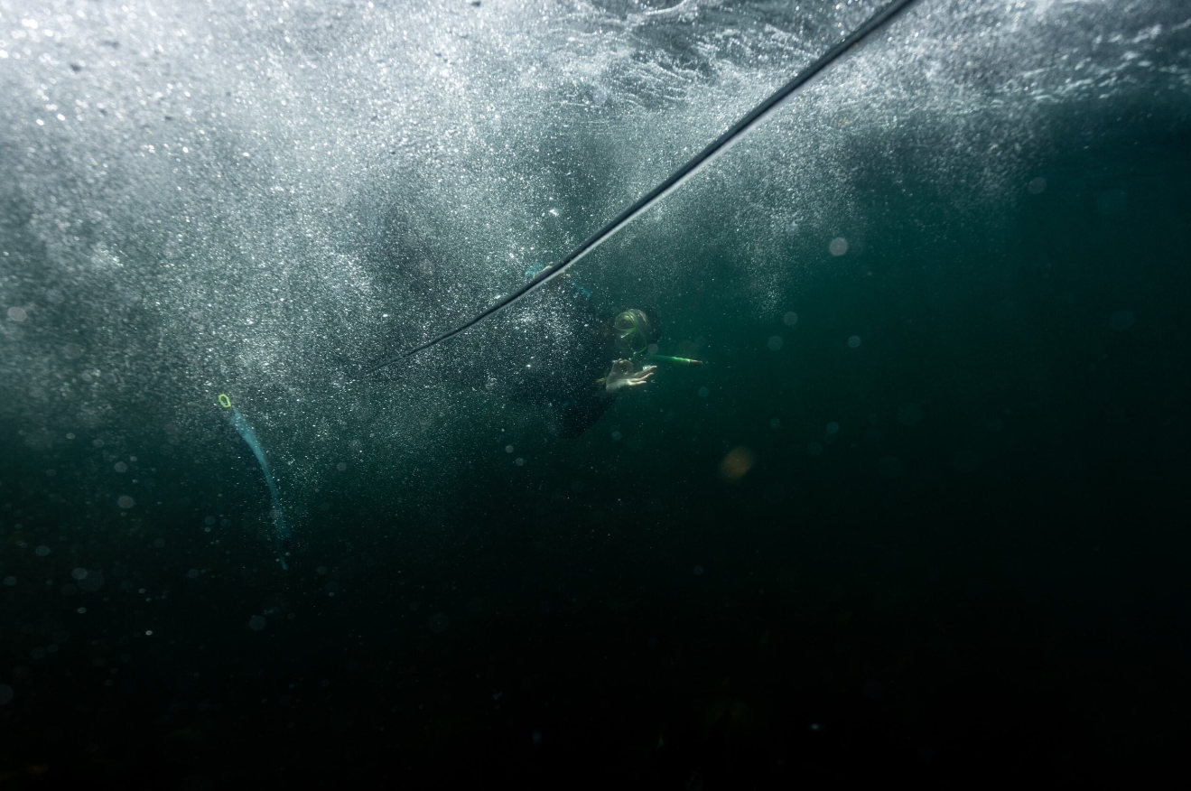 Private Snorkelling Session – Fort William, Scotland gallery 7