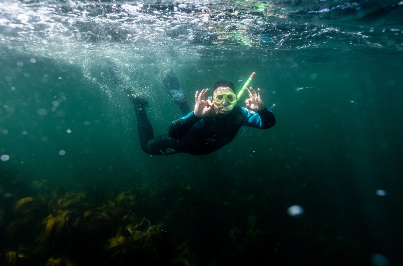 Private Snorkelling Session – Fort William, Scotland, photo 3