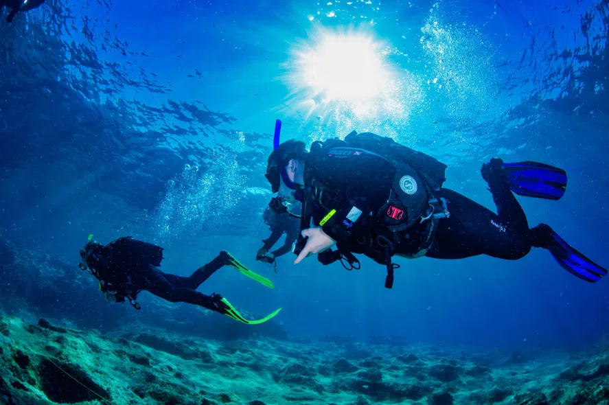 PADI Open Water Course (Part A) – Learn to Scuba Dive, photo 2