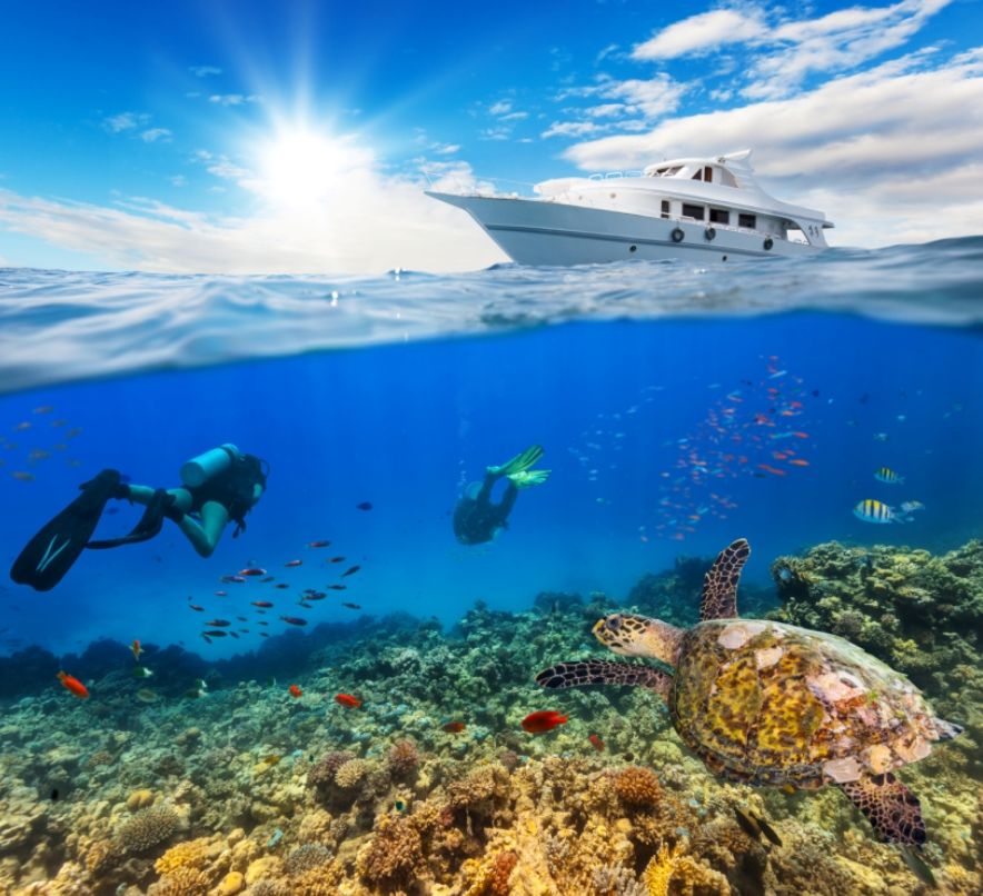 PADI Open Water Course (Part A) – Learn to Scuba Dive, photo 3