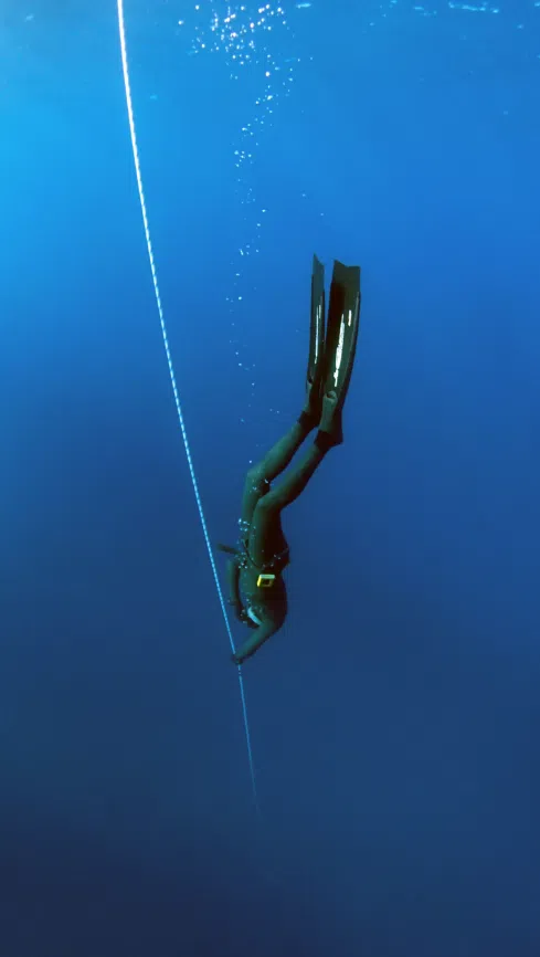 PADI Basic Freediver Apnea Course (Part B) - Mercers Lake, photo 5