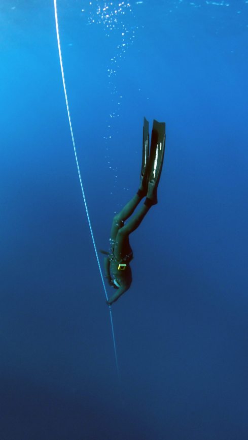 PADI Basic Freediver Apnea Course (Part A), photo 5