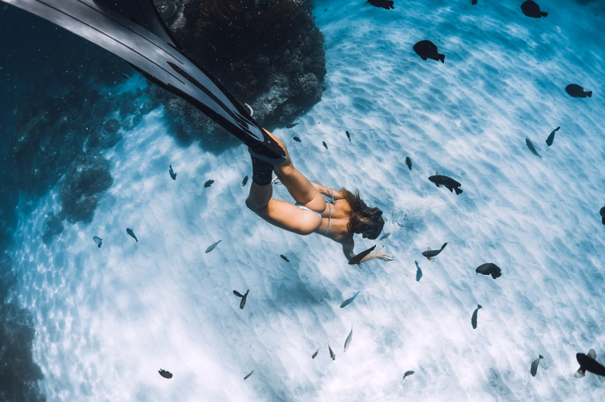 PADI Basic Freediver Apnea Course (Part B) - Mercers Lake gallery 2