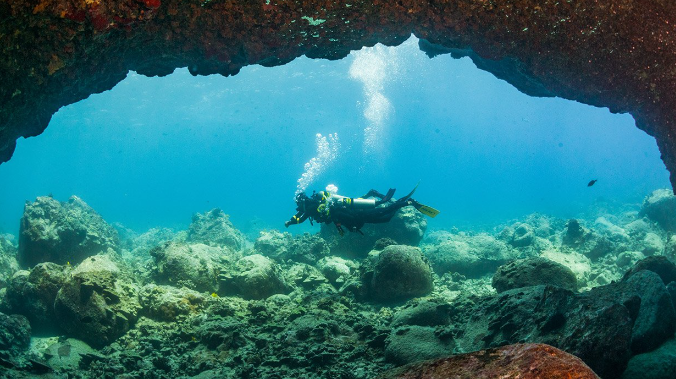 PADI Enriched Air Nitrox Course gallery 4