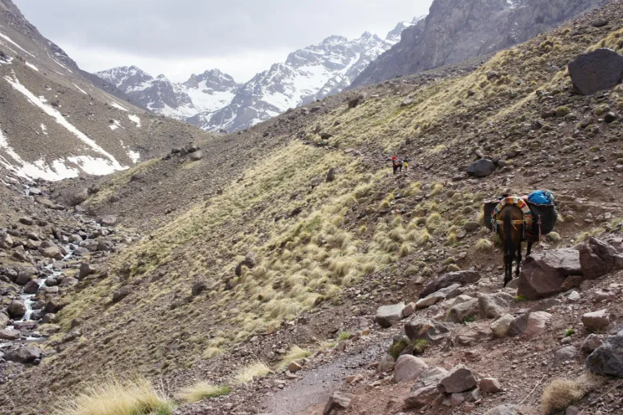 5-Day Trek in Morocco – Mount Toubkal Expedition, photo 2