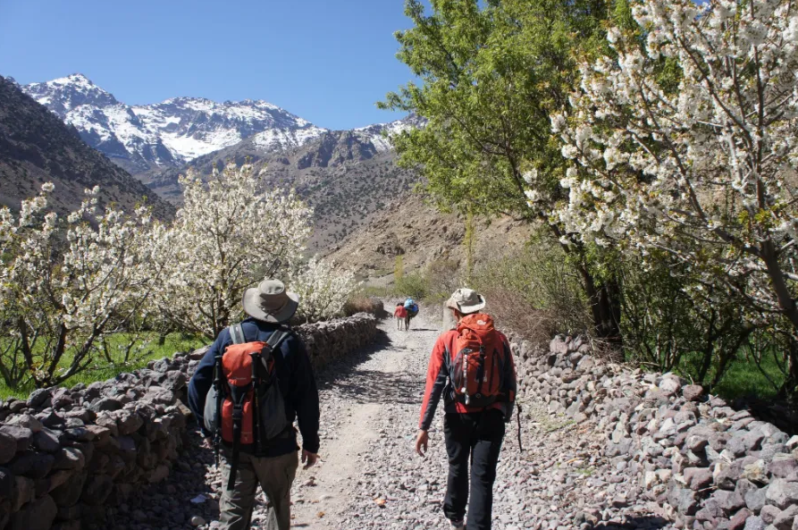 5-Day Trek in Morocco – Mount Toubkal Expedition, photo 3