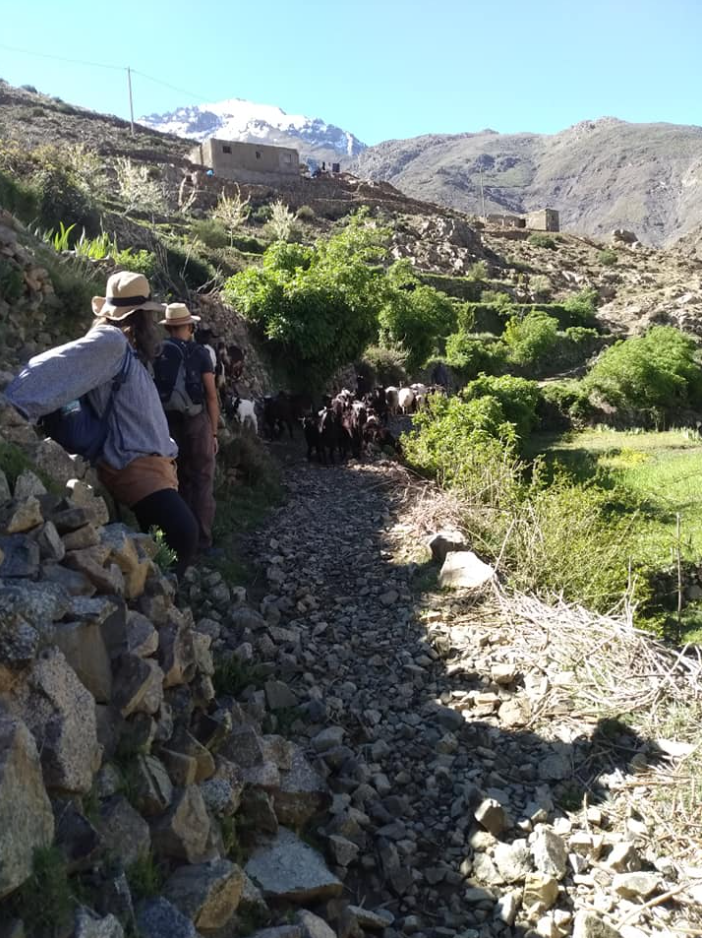 5-Day Trek in Morocco – Mount Toubkal Expedition gallery 6