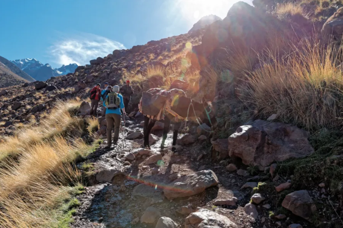 4-Day Hiking through Berber Lands and Peaks, photo 5