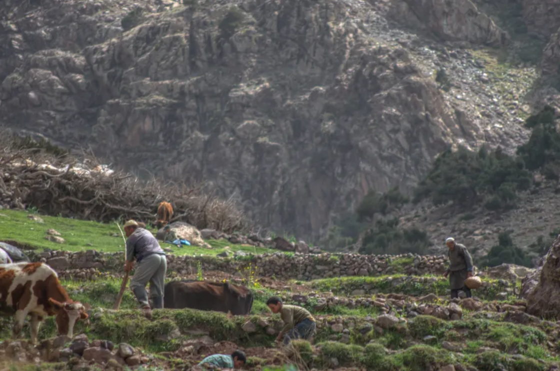 4-Day Hiking through Berber Lands and Peaks gallery 2