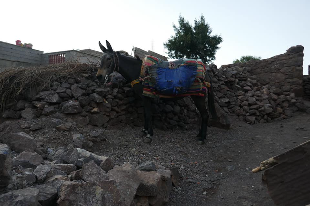 2 Days Atlas mountains trekking (Morrocco), photo 5