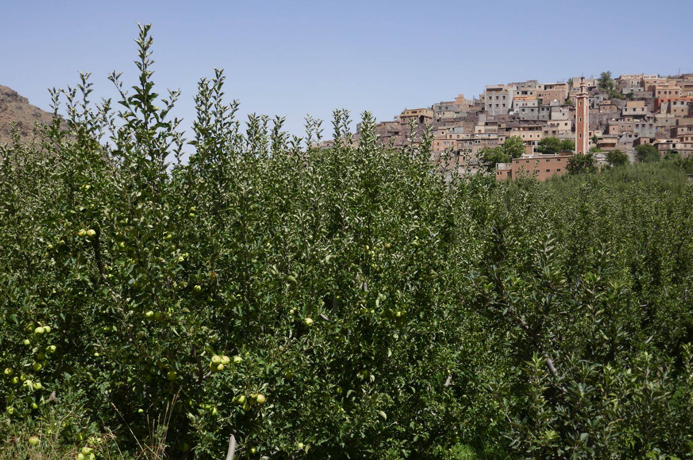 Atlas mountains Day Trip– Marrakech to Imlil gallery 3