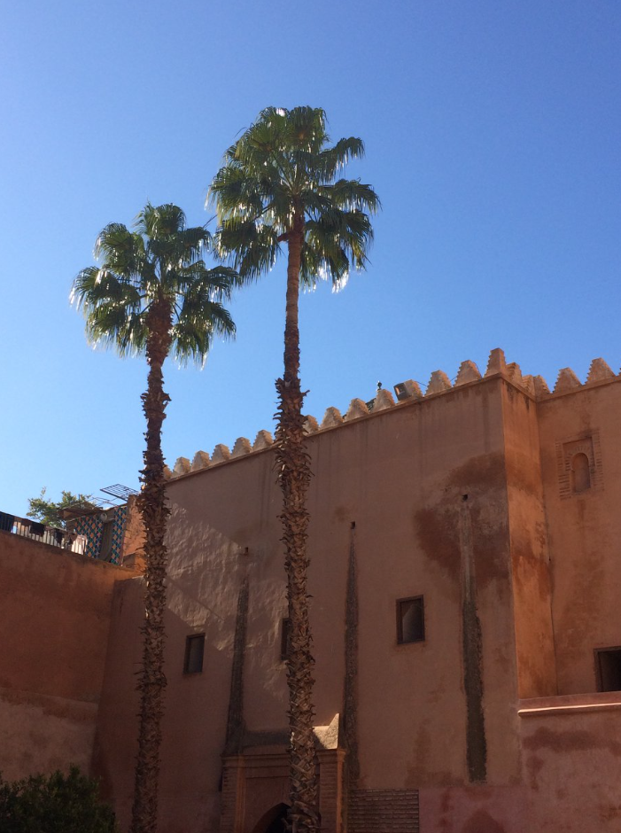 Atlas mountains Day Trip– Marrakech to Imlil gallery 4