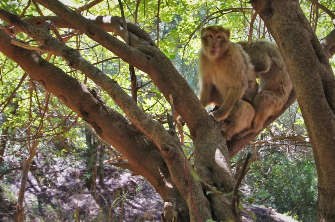 Hiking in Morocco – Marrakech to Ouzoud Falls, photo 2