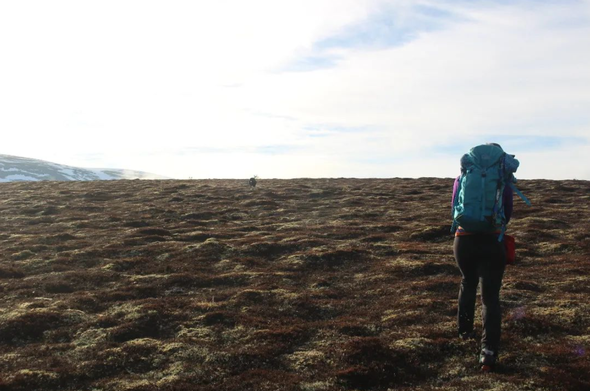 ‘Next Level Nav’ Course in Kingussie, photo 5