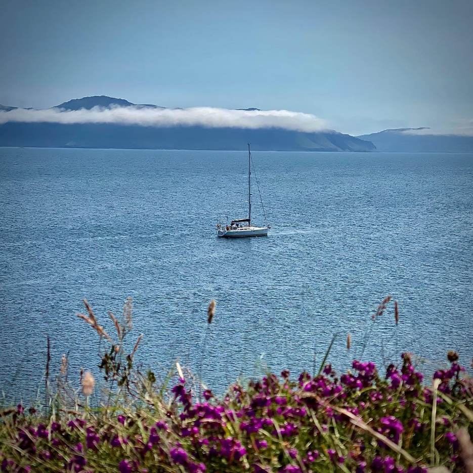 21st-27th July 7-Day Sailing Trip – Puffin & Dolphin Spotting around Mull, Staffa gallery 2