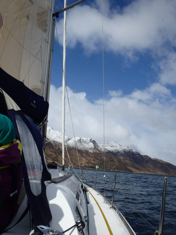 21st-27th July 7-Day Sailing Trip – Puffin & Dolphin Spotting around Mull, Staffa gallery 4