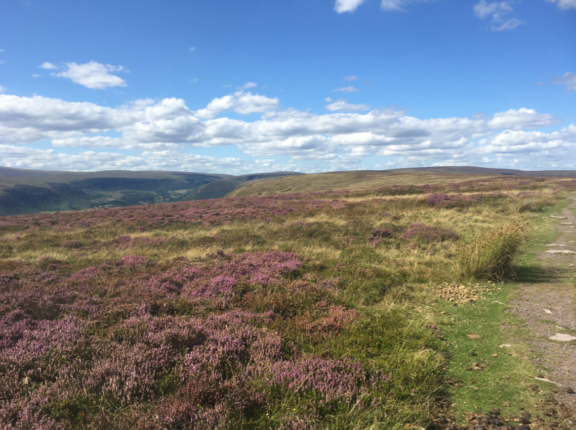 Hike the Kinder Scout Loop, photo 3