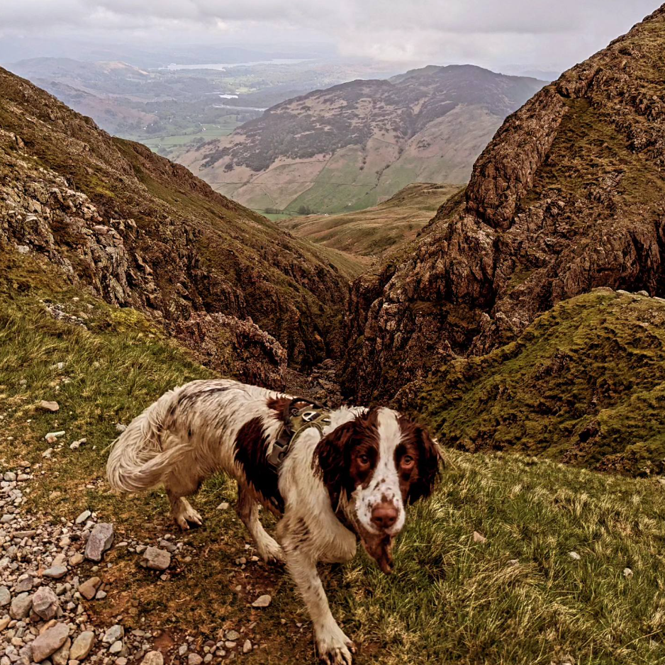 Navigation and Skills Sessions in Coniston gallery 4