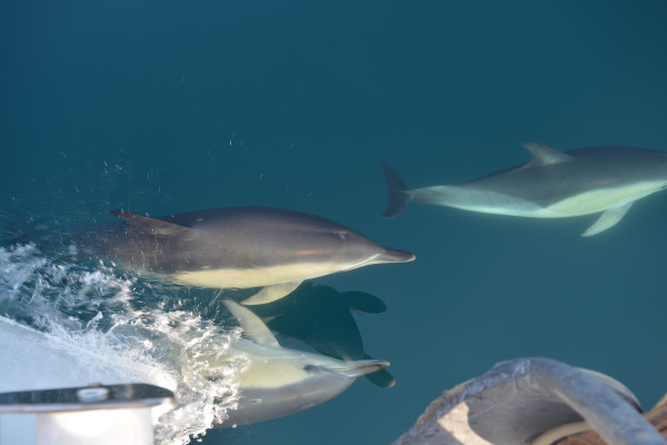 25 Aug-7th Sep 2-Week Sailing Adventure – North & Western Hebrides, photo 2
