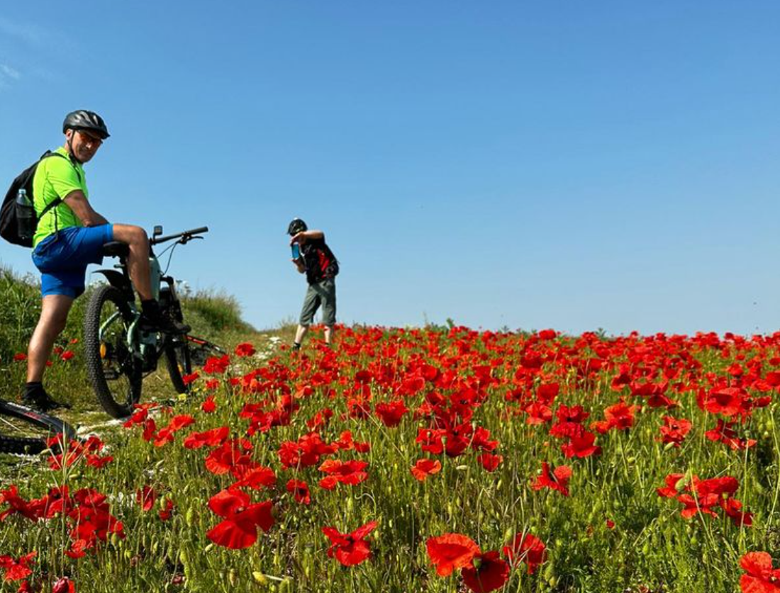 Salisbury, Stonehenge and Sarum Guided Cycle Tour, photo 4