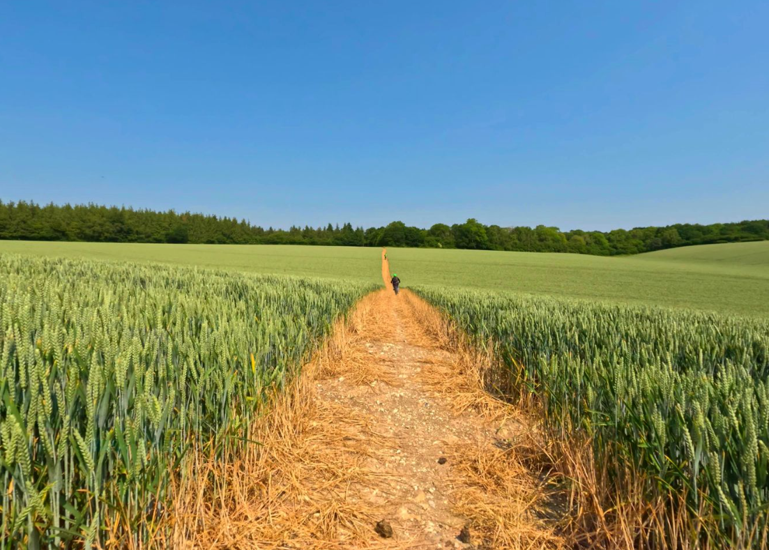 Salisbury, Stonehenge and Sarum Guided Cycle Tour gallery 2