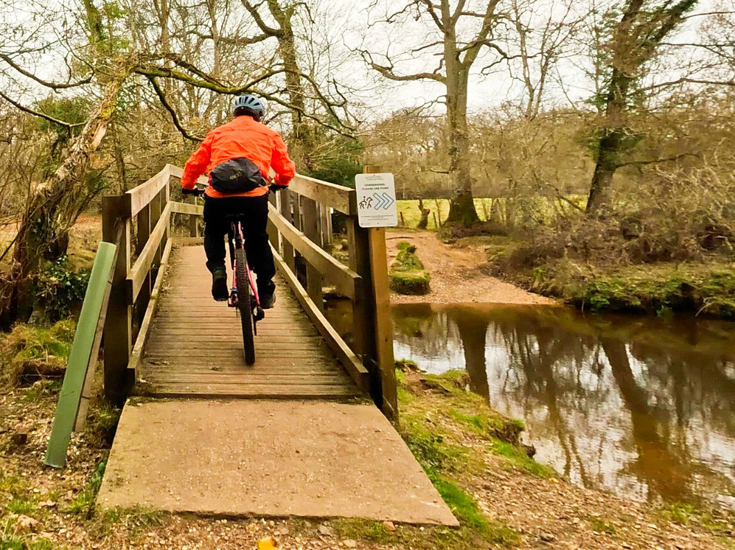 Coast to Forest Cycle Tour – Setley Ridge, The New Forest, photo 5