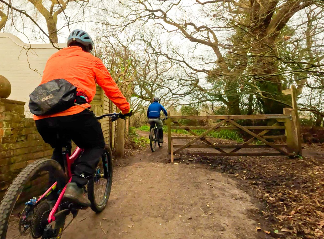 Coast to Forest Cycle Tour – Setley Ridge, The New Forest gallery 3