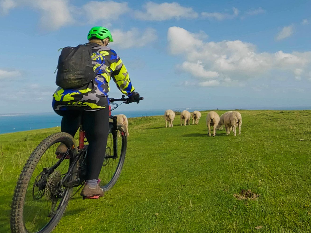 The Isle of Purbeck and Corfe Castle Cycle Tour, listing photo