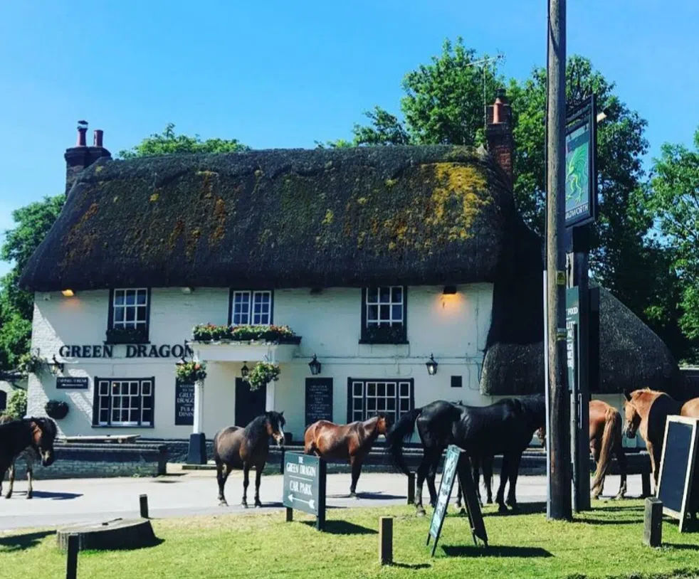 ‘The Roar of The Dragon’ Cycling Tour in the New Forest, photo 2