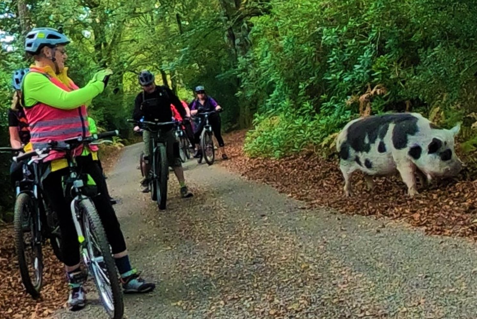 ‘The Roar of The Dragon’ Cycling Tour in the New Forest, photo 4