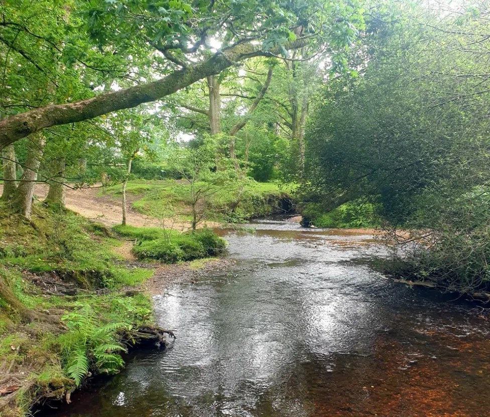 Bespoke Cycling Experience Tours in the New Forest, photo 2