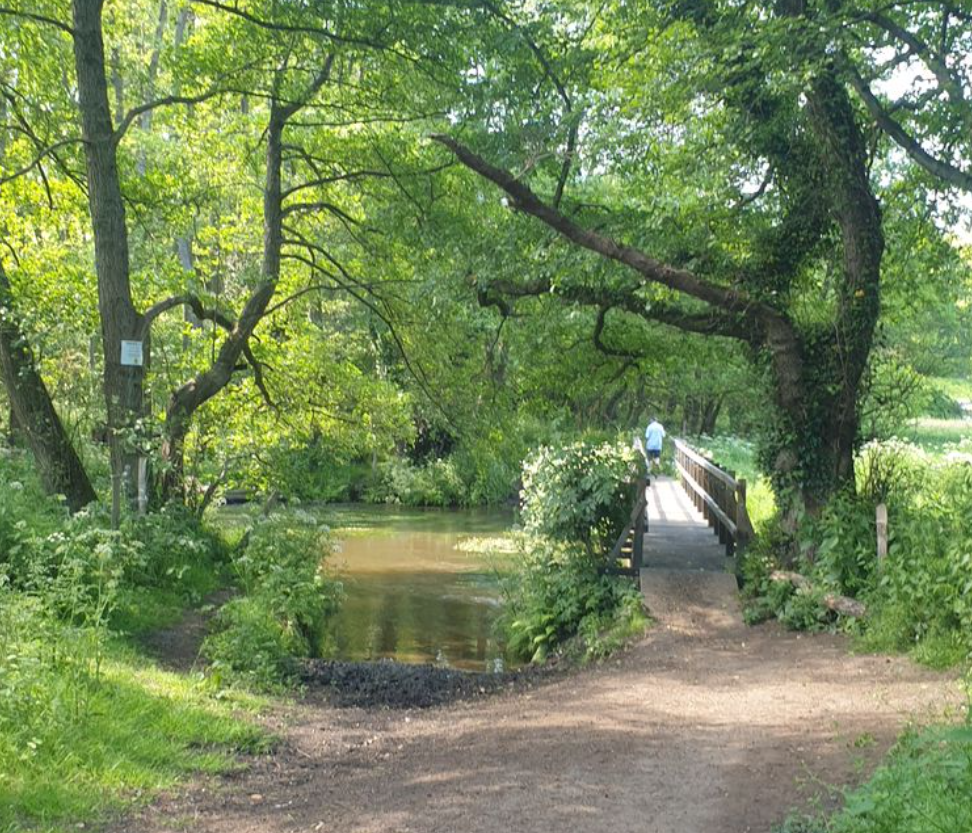 Cycling Tours – King Alfred’s Way (Surrey Section), photo 4