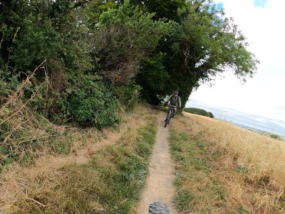 Discover The South Downs National Park gallery 4