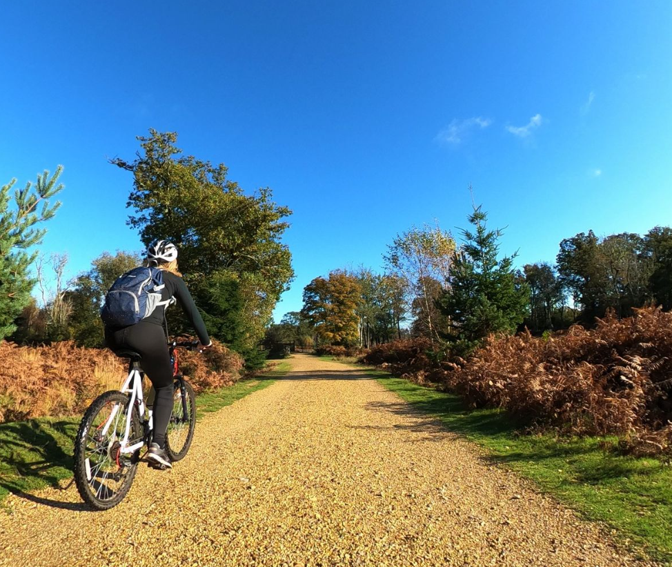 1-to-1 Cycling Sessions in the New Forest, photo 4