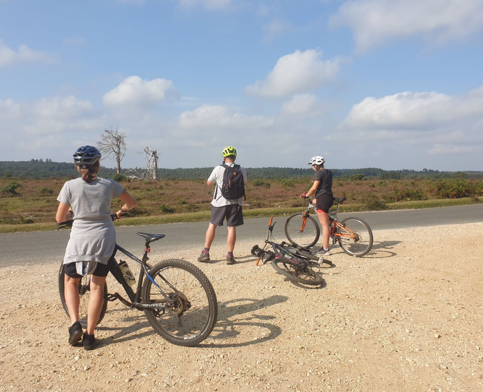 Reptile Centre Cycling Tour in the New Forest, photo 4