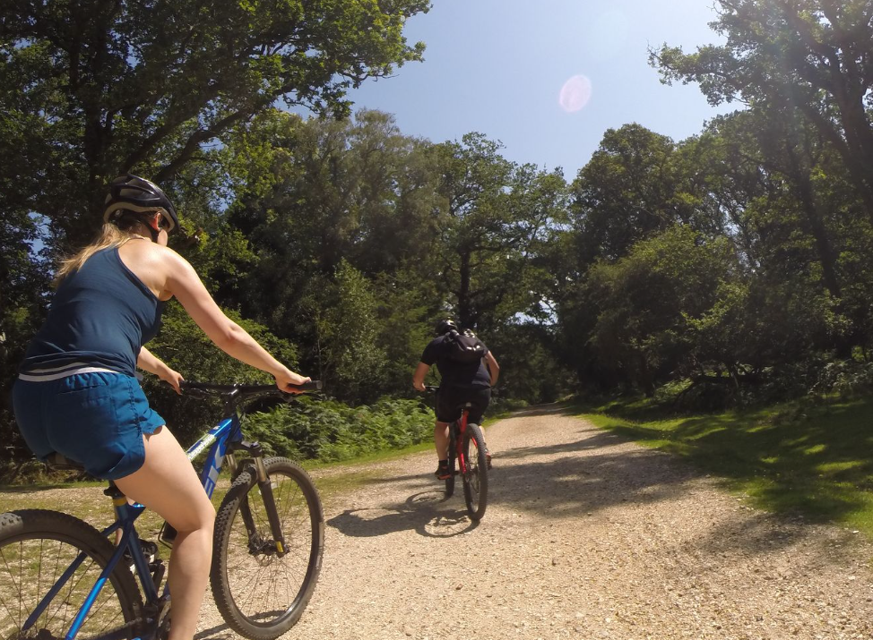 New Forest Leisure Cycling Tour, listing photo
