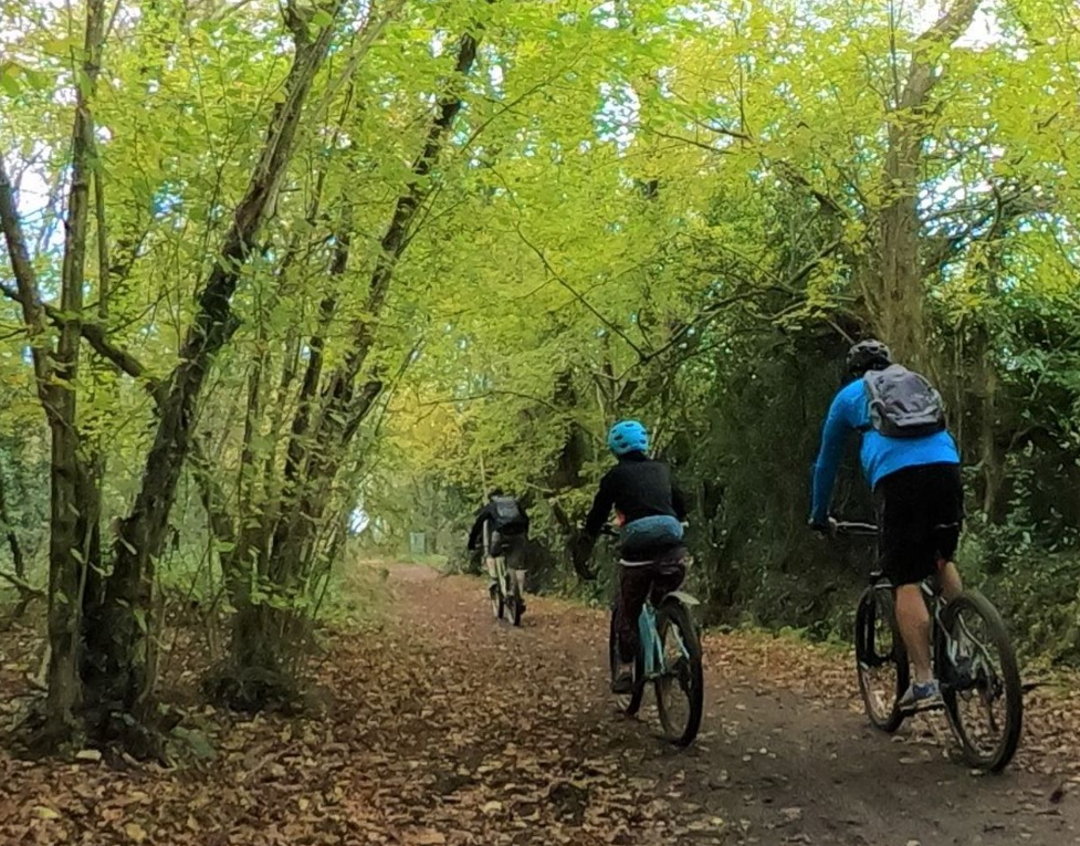 Back of Beyond Moors Valley Leisure Cycle Ride, listing photo