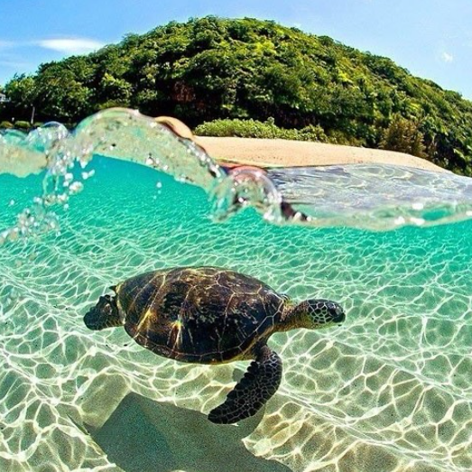 All-Inclusive Sailing and Snorkelling Trip in the Caribbean, photo 4