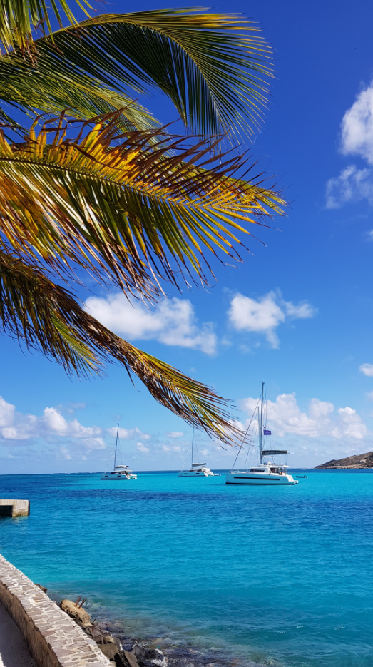 All-Inclusive Sailing and Snorkelling Trip in the Caribbean gallery 2