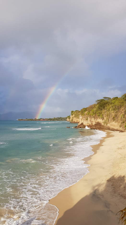 All-Inclusive Sailing and Snorkelling Trip in the Caribbean gallery 3