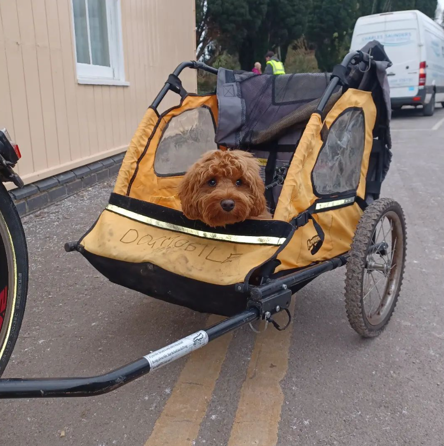 Cycle Rental for The Strawberry line Cycle Path gallery 3